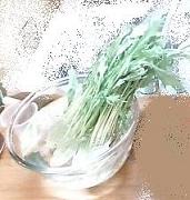 水菜 下準備.JPG