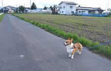 田舎だねぇ