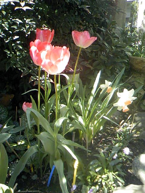 DCF_0199.JPG