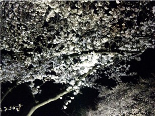 おまけ1