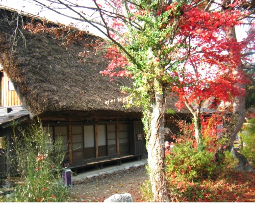 DSCF8706.jpg