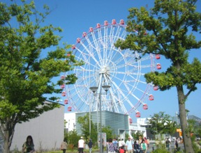 DSCF7310.jpg