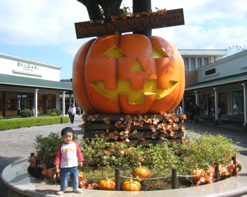 DSCF8411.jpg
