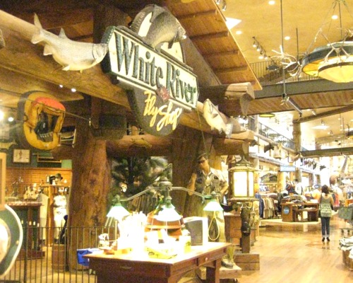 Picture11.jpg