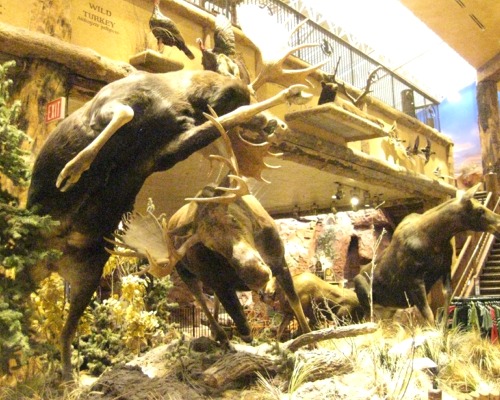 Picture13.jpg