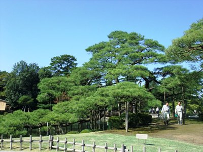 兼六園3.JPG