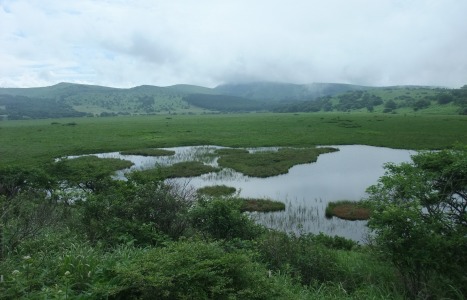 八島湿原3.JPG