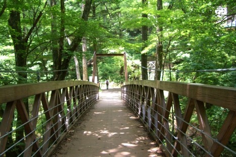 見晴らし遊歩道.JPG