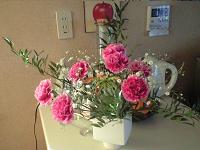 CA392391.jpg