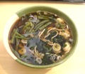 20100117 003.jpg