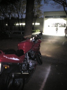 東京競馬場＆バイク.jpg