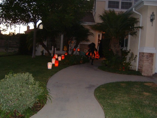 DSCF0827.JPG