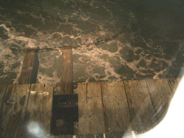DSCF0789.JPG