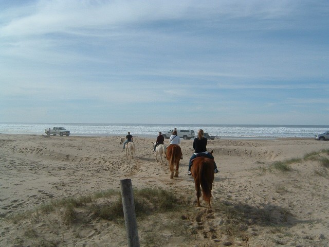 DSCF0799.JPG