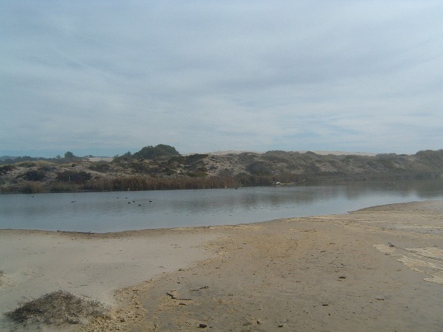 DSCF0800.JPG