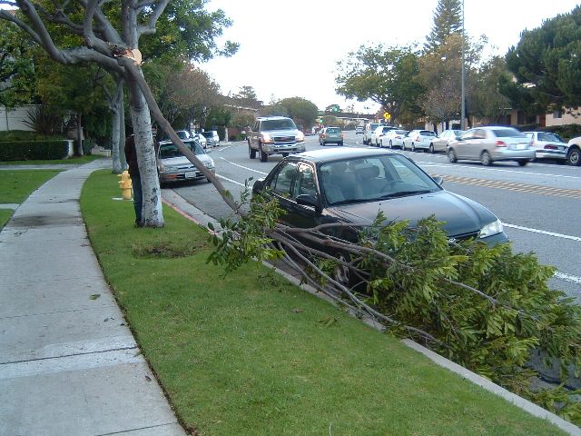 DSCF0821.JPG