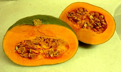 Panpkin2