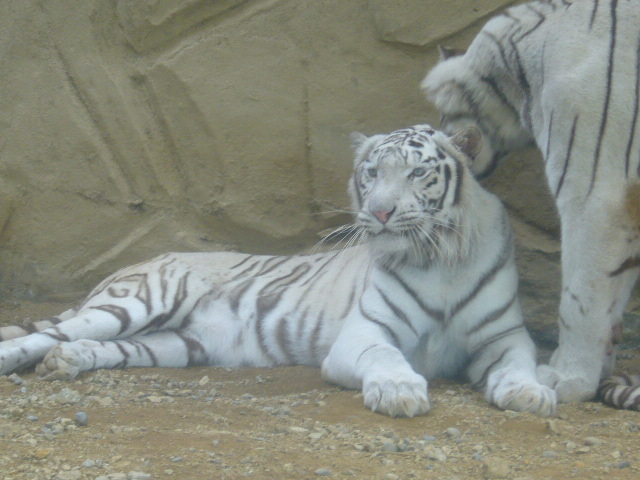 姫路セントラルパーク