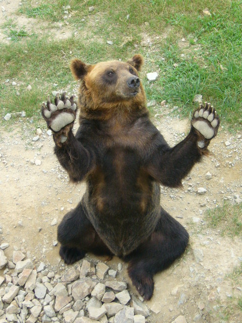 姫路セントラルパーク