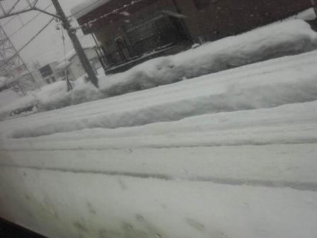 新潟県内に入るとさらに雪が・・・.JPG