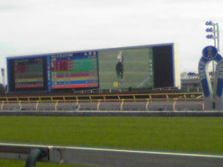 東京競馬場の大型ターフビジョン