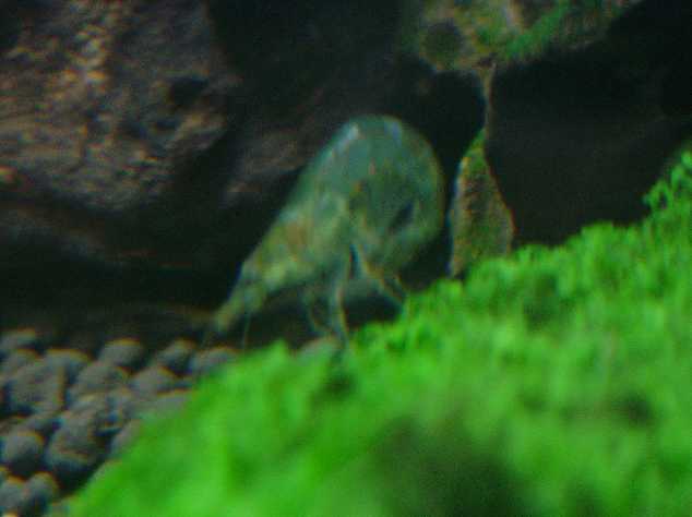 DSC04137.JPG