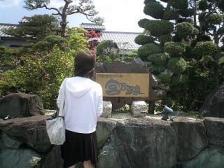 向日葵＾＾