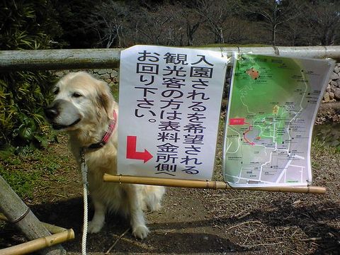 されるをされるって・・・・変！