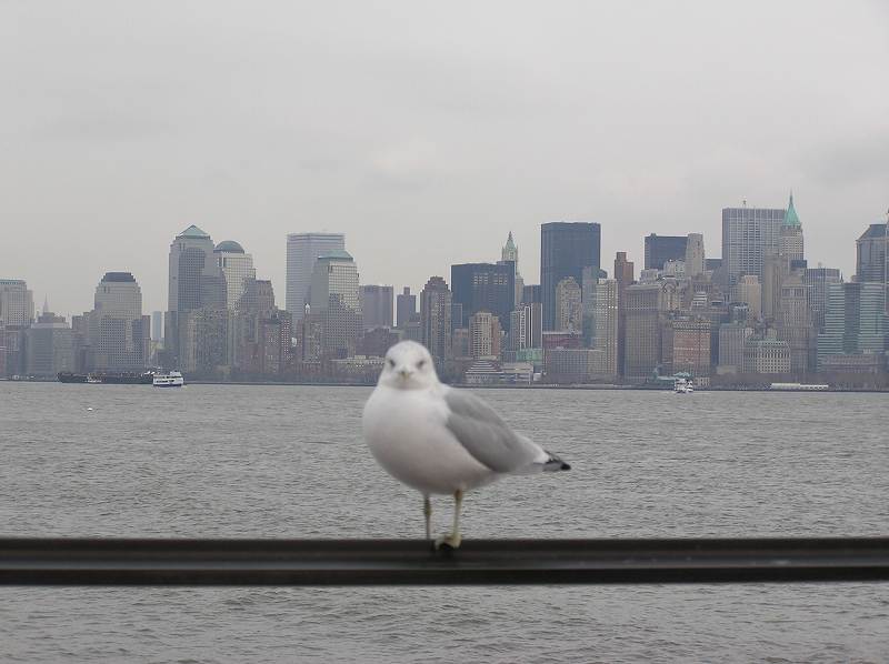 マンハッタン　NY