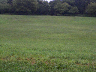 080921_1635~01.JPG