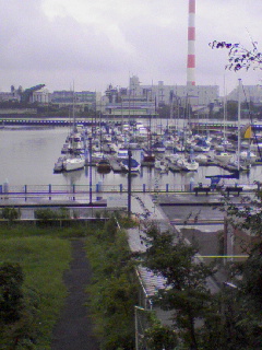 080921_1640~01.JPG