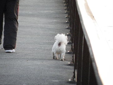 2009_0101年末年始0013.JPG