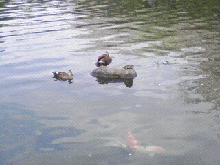 080403_1506~01.JPG