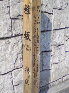080518_1536~02.JPG