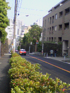 080518_1536~03.JPG