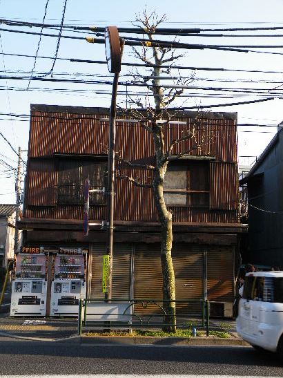2009_0410桜、新宿、行船0021.JPG