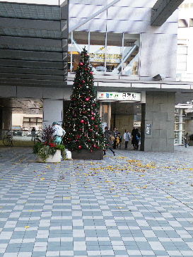 DSCF0330.jpg