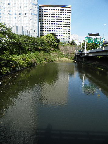 2009_0423檜町公園0018.JPG