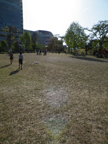 2009_0423檜町公園0024.JPG