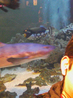 081104_1648~01.JPG