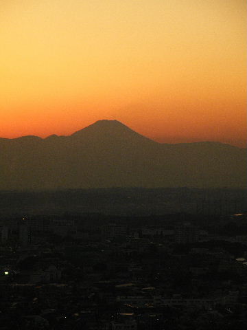 2008_11230124.JPG