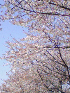 080406_1518~01.JPG