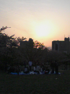 080406_1743~01.JPG