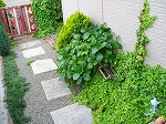 玄関への道