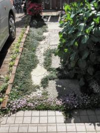 前の玄関までの道