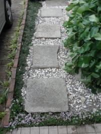 植え替えた玄関までの道