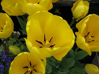 IMG_0079.jpg