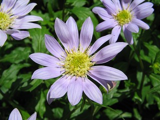 IMG_1902.jpg