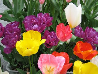 IMG_0082.jpg