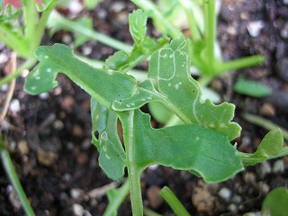 IMG_1083.jpg
